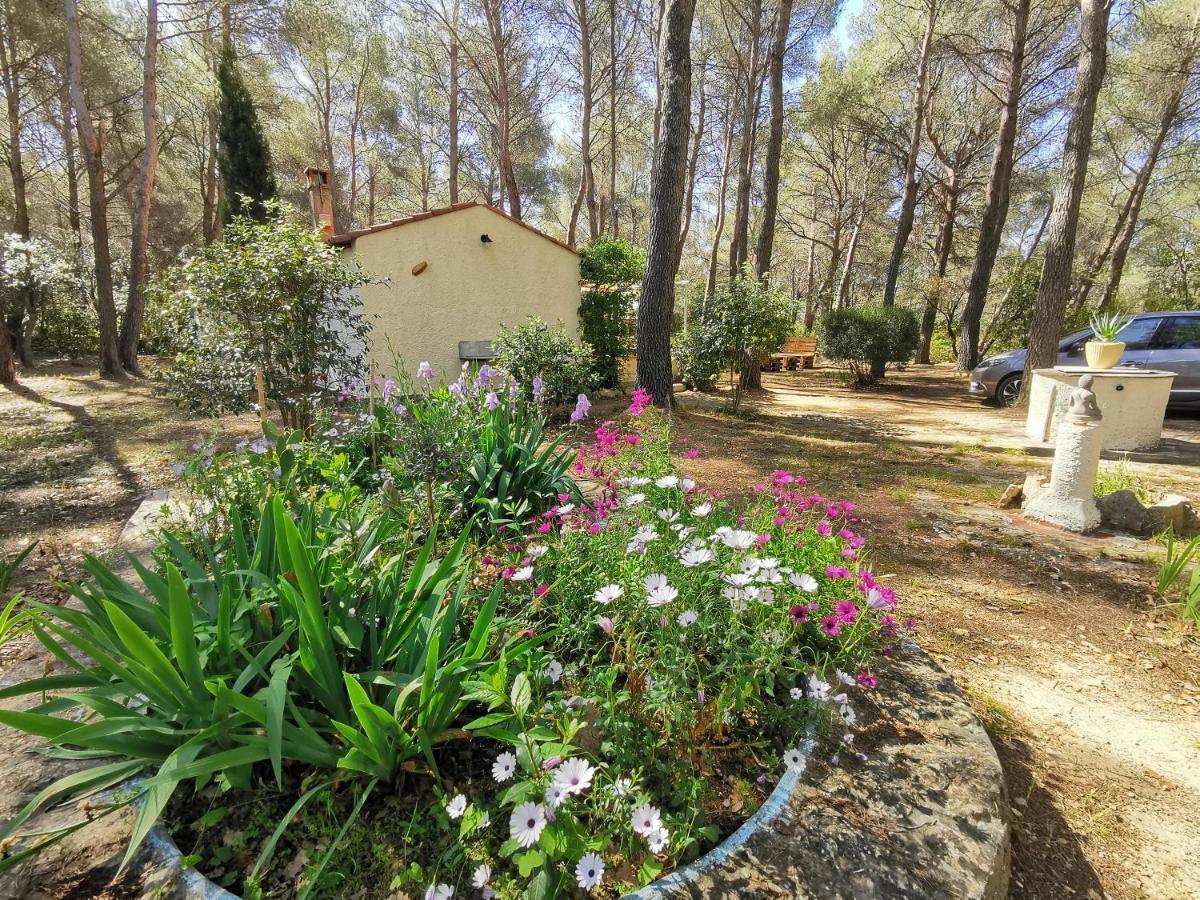 Maisonnette En Pleine Nature Le Beausset Exterior foto
